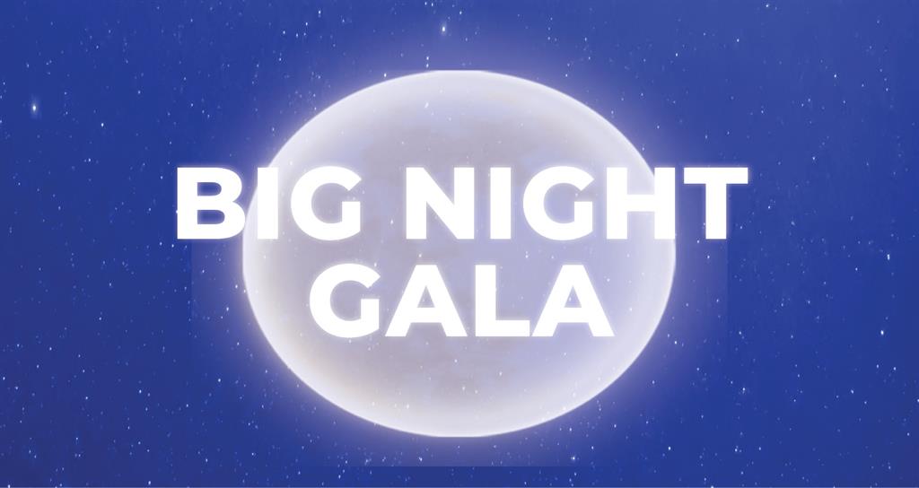 Big Night Gala